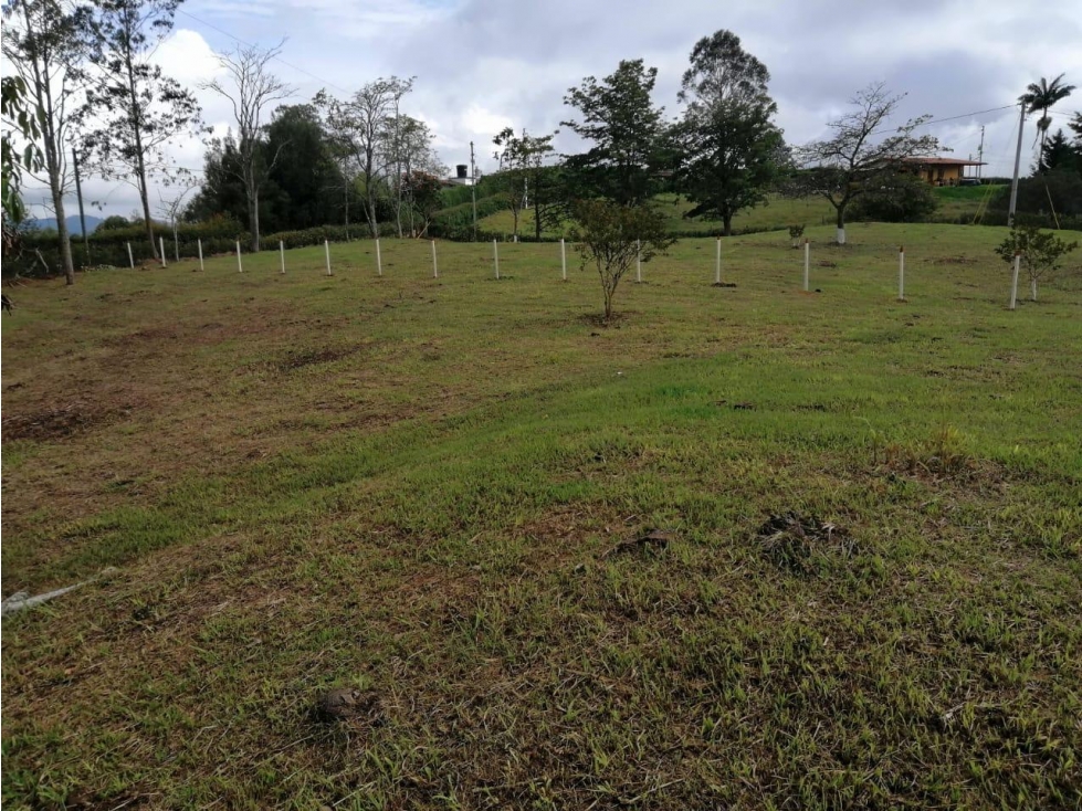ENCANTADOR LOTE EN VENTA SAN VICENTE — foto 4
