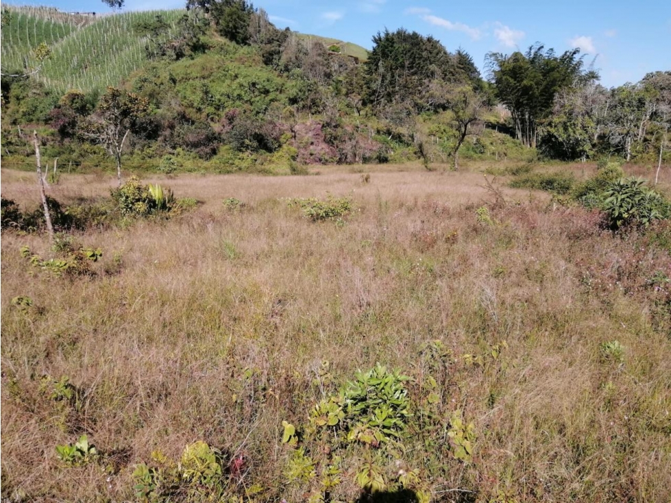ENCANTADOR LOTE EN VENTA PARA PROYECTO SAN VICENTE — foto 4