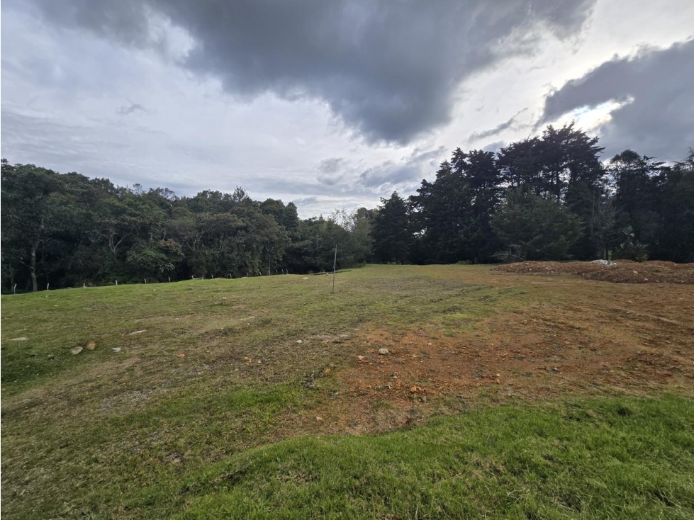 ENCANTADOR LOTE ALTO DE PALMAS EN VENTA — foto 4