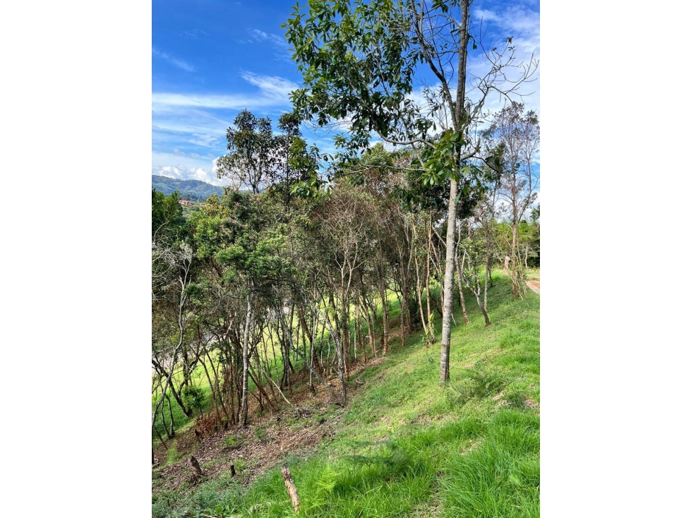 LINDOS LOTES EN VENTA CON EXCELENTE UBICACIÓN — foto 4