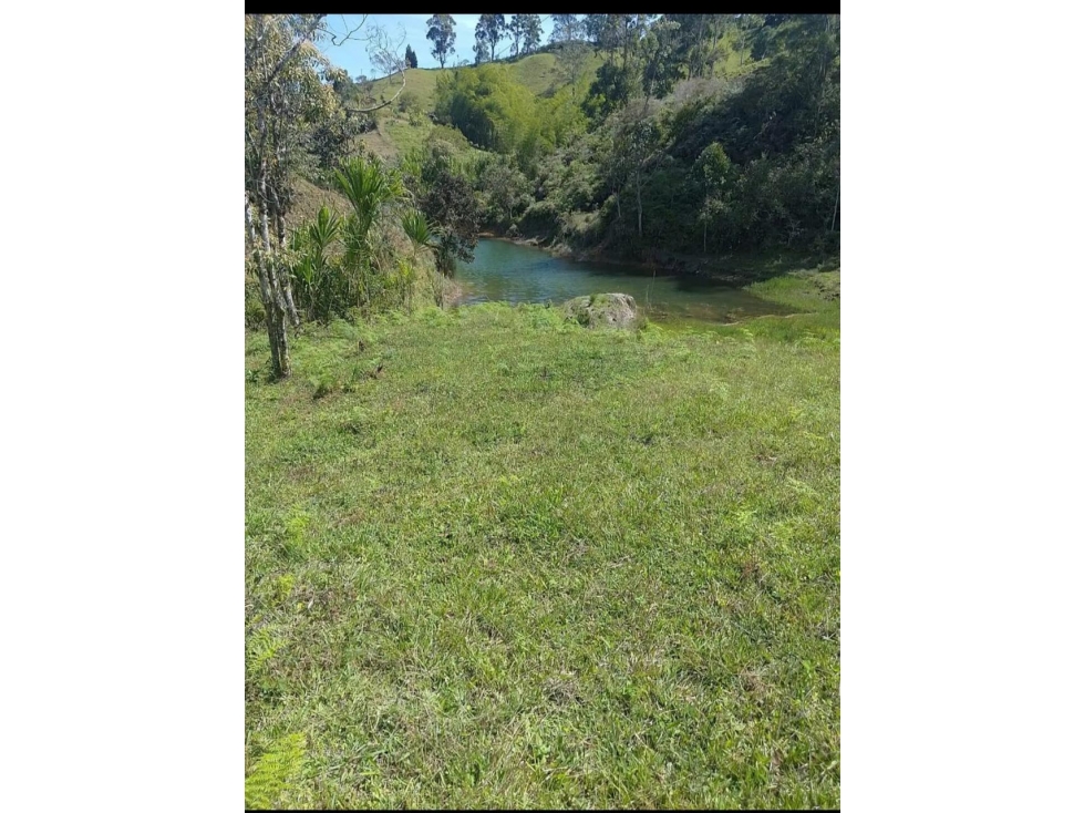 ENCANTADOR LOTE EN VENTA CON EMBALSE EN EL PEÑOL — foto 4