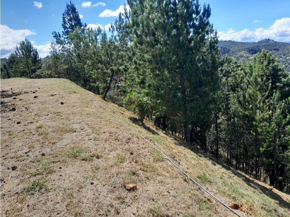 HERMOSO LOTE EN VENTA GUARNE — foto 4