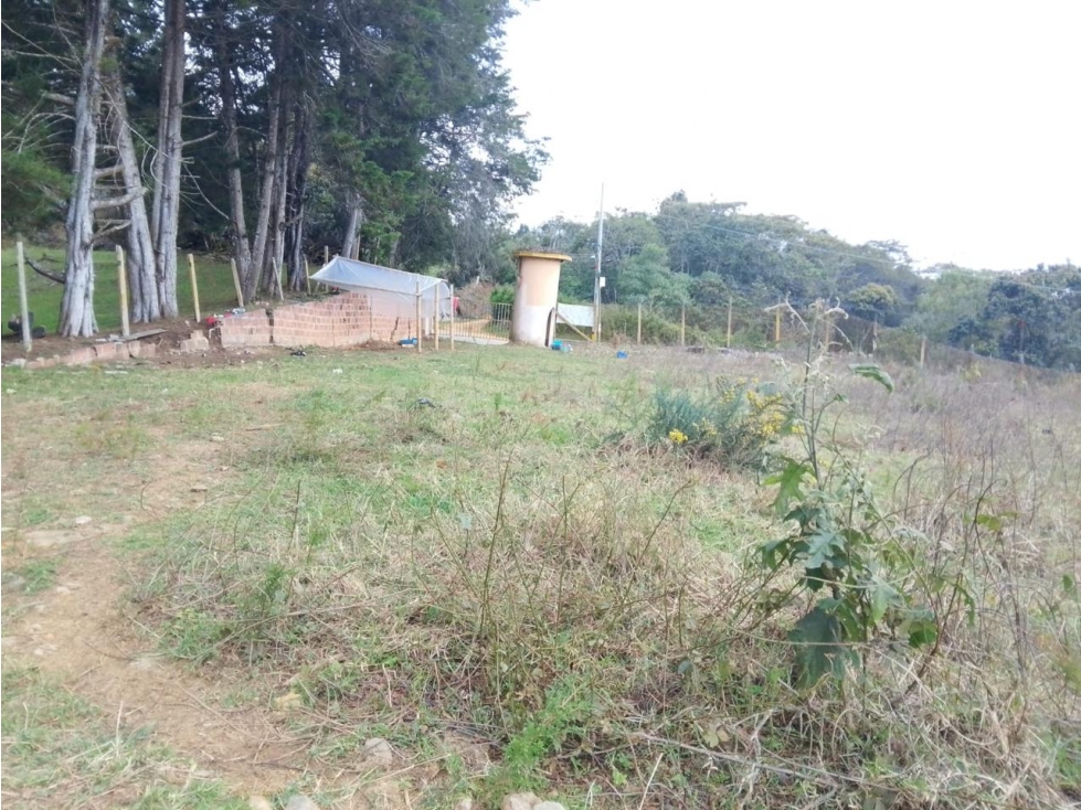 HERMOSO LOTE EN VENTA GUARNE — foto 4
