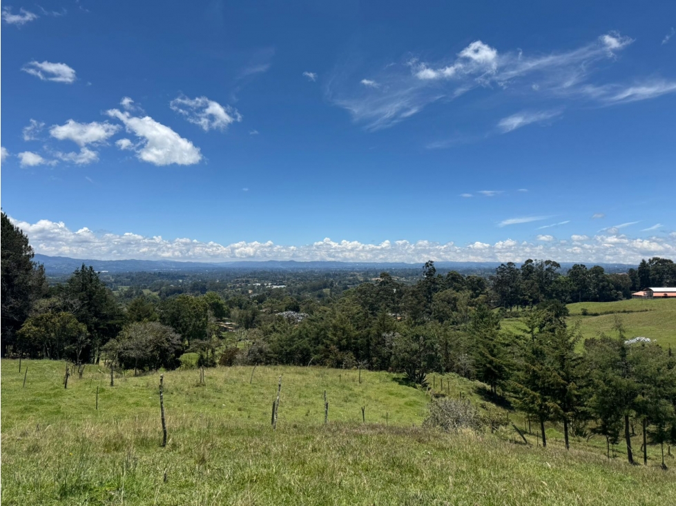 HERMOSA TIERRA EN VENTA EN EL CARMEN DE VIBORAL — foto 4