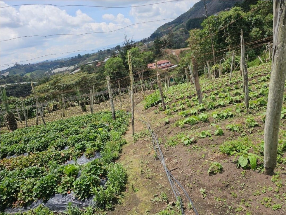 ENCANTADOR LOTE EN VENTA APROVECHABLE PARA SUBDIVISIÓN SAN VICENTE — foto 4