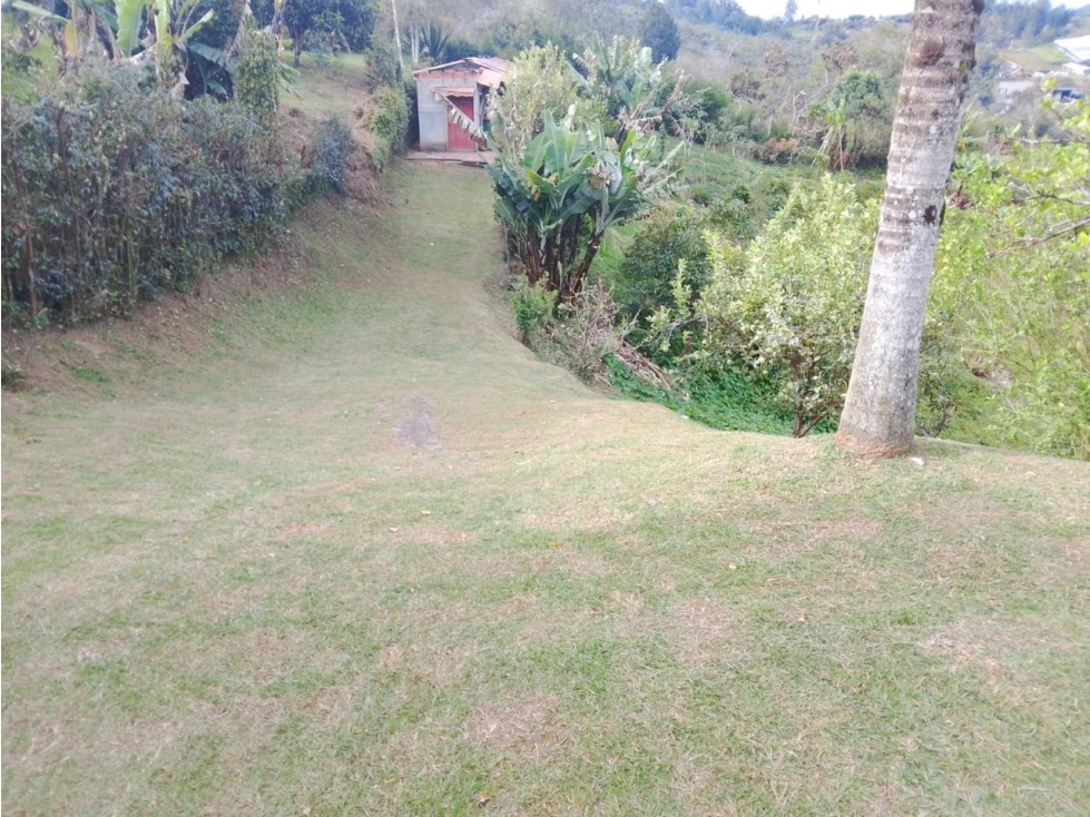 ESPECTACULAR FINCA EN VENTA PARA PROYECTO DE PARCELACIÓN SAN VICENTE — foto 5