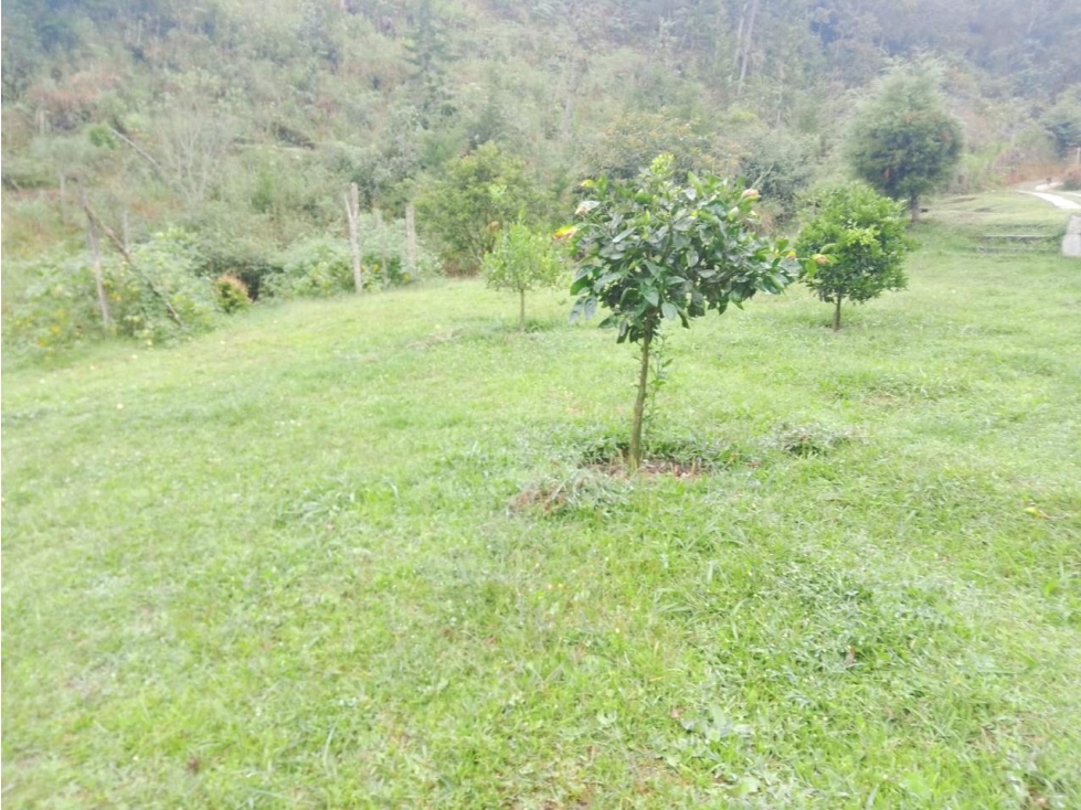 LINDA FINCA EN VENTA SAN VICENTE — foto 5