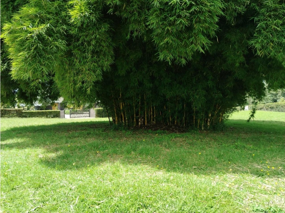 ESPECTACULAR LOTE EN VENTA PARCELACION LA CEJA — foto 5