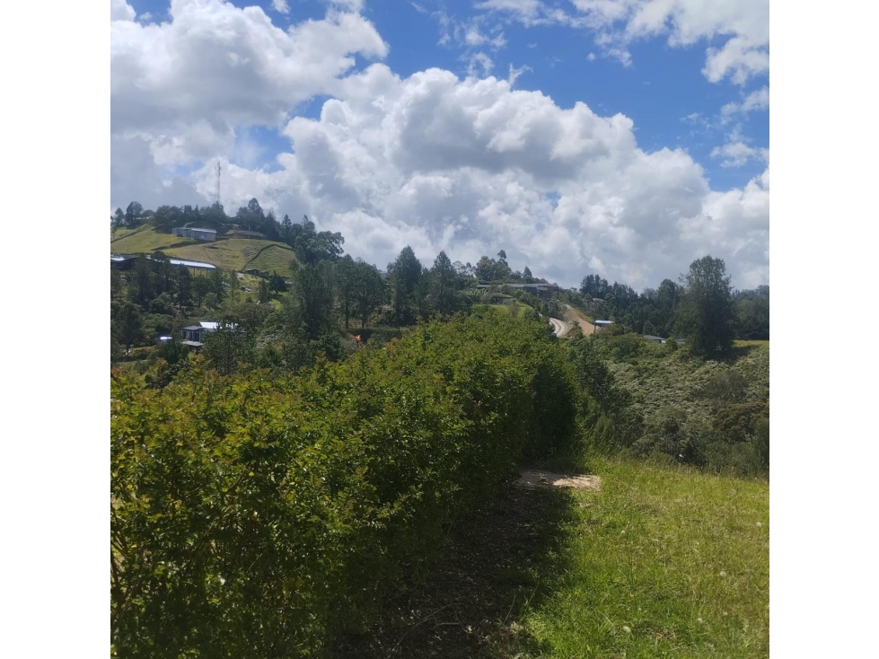 HERMOSO LOTE EN VENTA ALTO DE PALMAS — foto 5