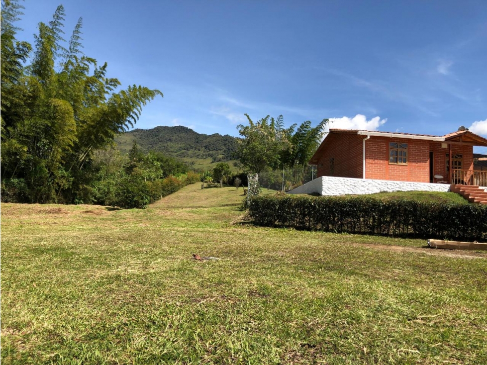 ENCANTADORA FINCA EN VENTA EL PEÑOL TOPOGRAFIA PLANA - 6