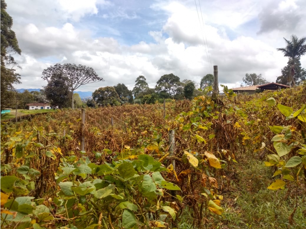LOTE DE OPORTUNIDAD VEREDA AGUAS CLARAS EN VENTA EN EL CARMEN DE VIB.