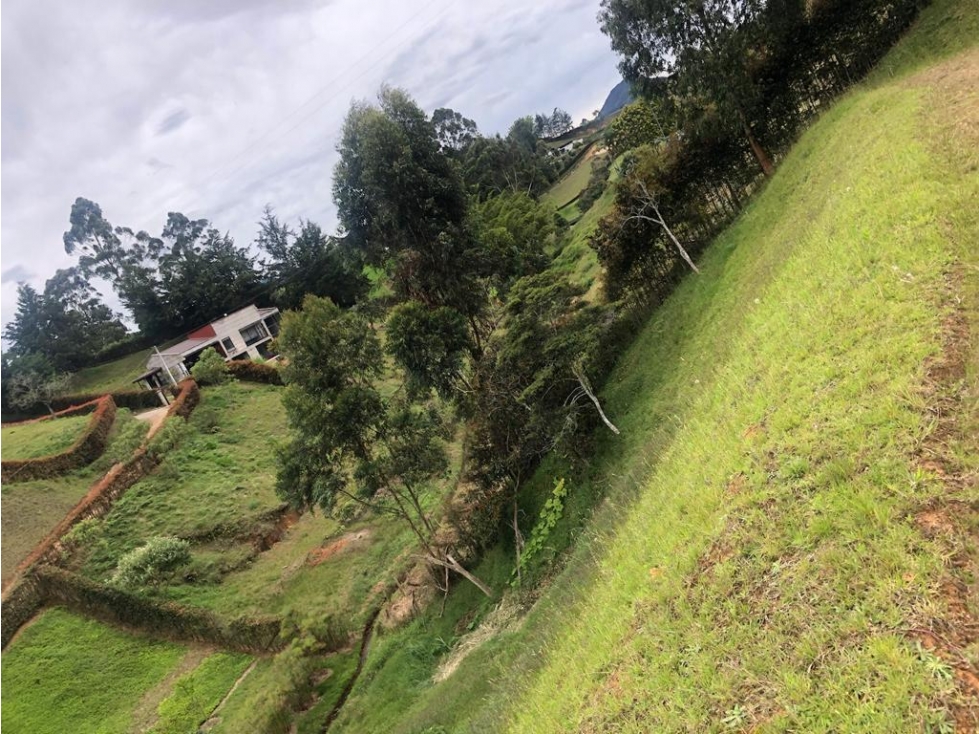 EN VENTA LOTE CON LINDA VISTA EN LA VEREDA SAMARIA - CARMEN VIBORAL