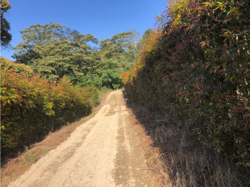 HERMOSO LOTE EN VENTA SECTOR CANADA EL CARMEN DE VIBORAL. Oportunidad. — foto 5