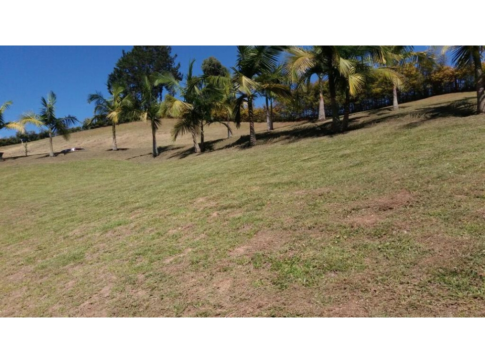 ENCANTADOR LOTE EN VENTA EL CÁRMEN DE VIBORAL — foto 5