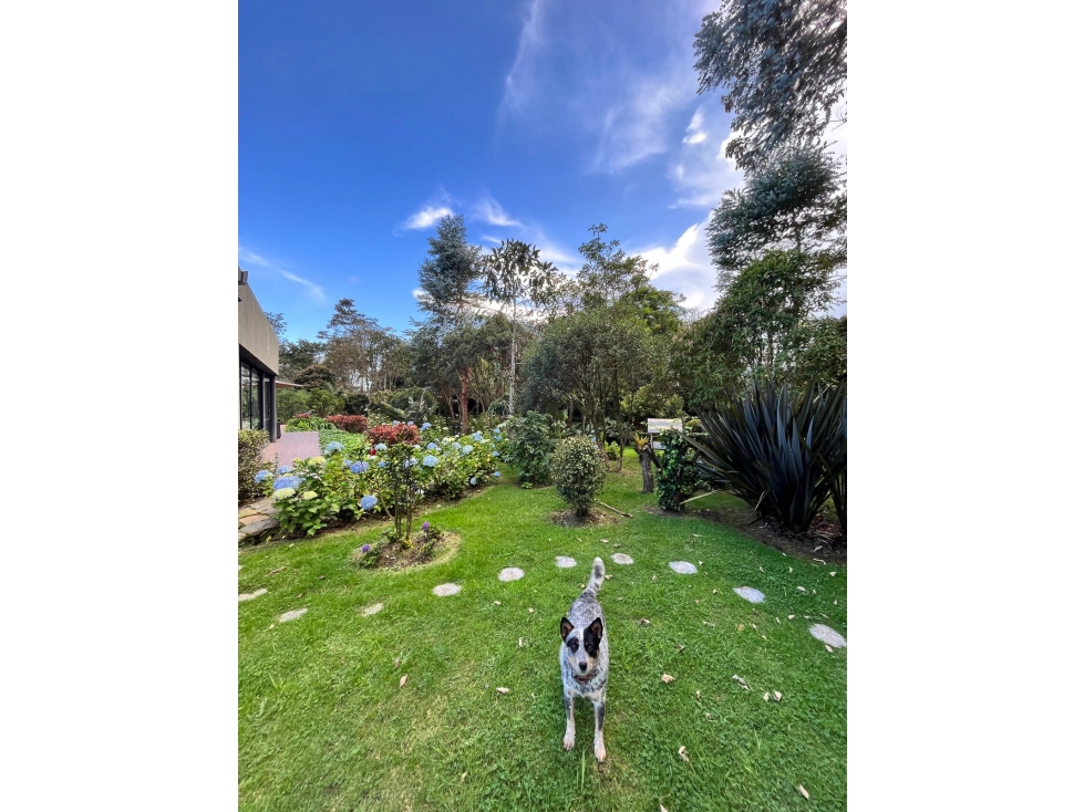 HERMOSA CASA EN VENTA ALTO DE LAS PALMAS MEDELLIN — foto 5