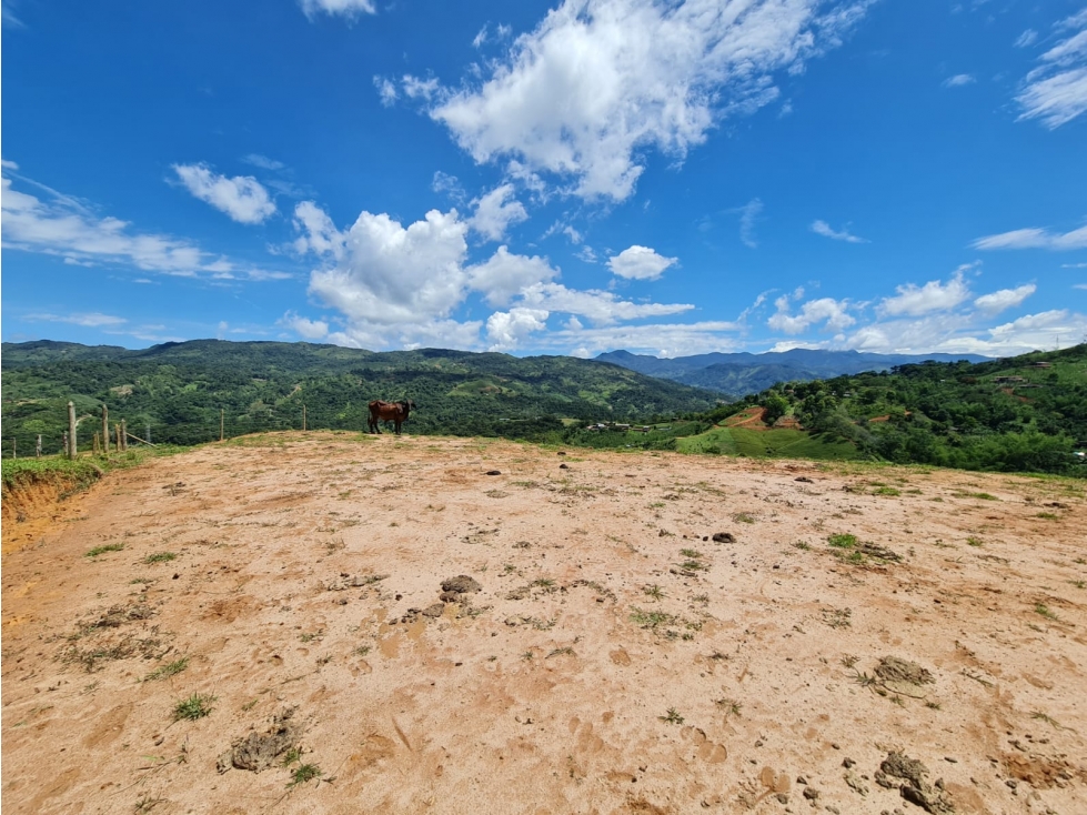ESPECTACULAR LOTE EN VENTA SAN RAFAEL- ANTIOQUIA - 5