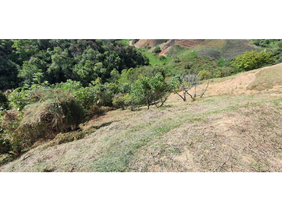 LINDO LOTE EN VENTA MARINILLA - 6