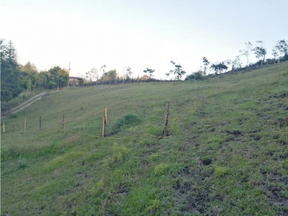 LINDOS LOTES EN VENTA GUARNE