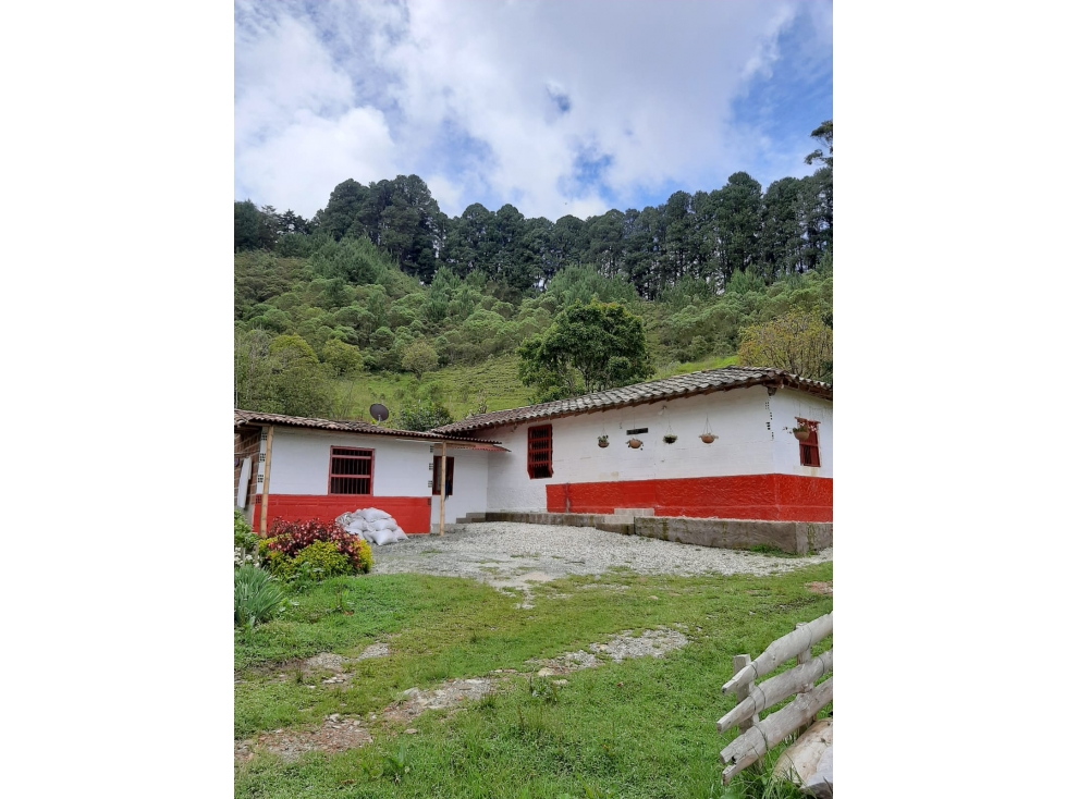 LINDA CASA FINCA TRADICIONAL EN VENTA CARMEN DE VIBORAL — foto 3