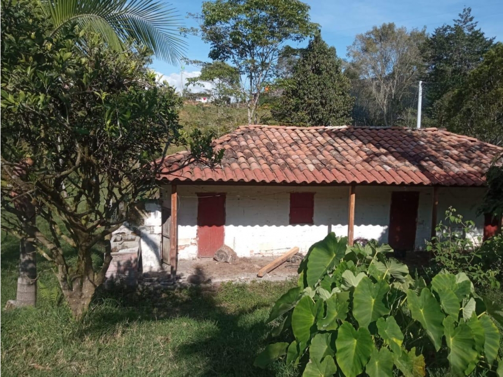 LINDA FINCA EN VENTA CON CASA CAMPESINA EL CARMEN DE VIBORAL — foto 2