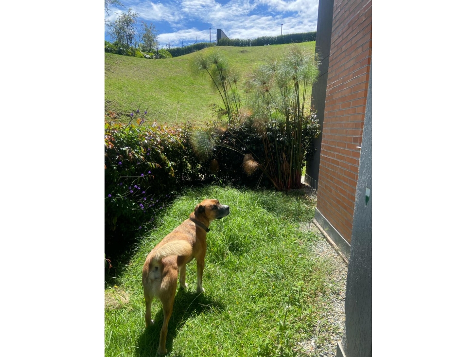 HERMOSO APARTAMENTO EN VENTA EN RIONEGRO SECTOR SAN ANTONIO — foto 2