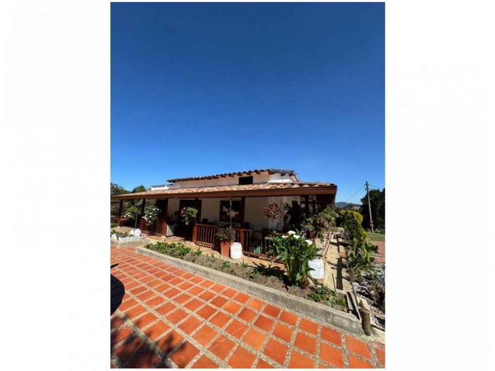 ENCANTADORA FINCA EN VENTA GUARNE — foto 3