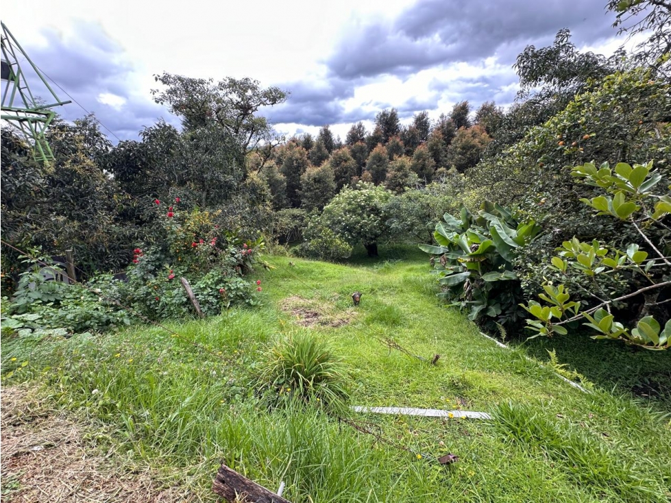 ENCANTADOR CASA LOTE EN VENTA USO INDUSTRIAL SECTOR AEROPUERTO — foto 5