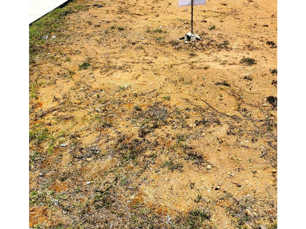 MARAVILLOSO LOTE ESQUINERO PARA BODEGA EN VENTA RIONEGRO-ANTIOQUIA — foto 2