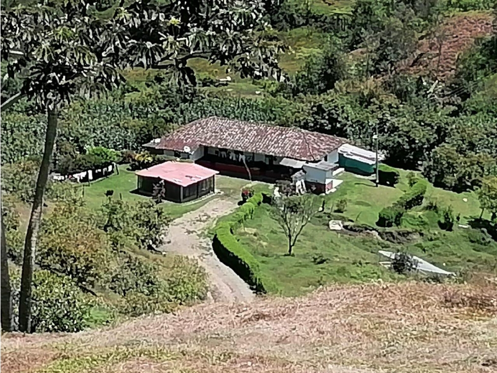 ENCANTADORA FINCA AGUACATERA EN VENTA SAN VICENTE — foto 5