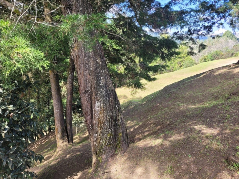 ESPECTACULAR LOTE EN VENTA GUARNE — foto 5