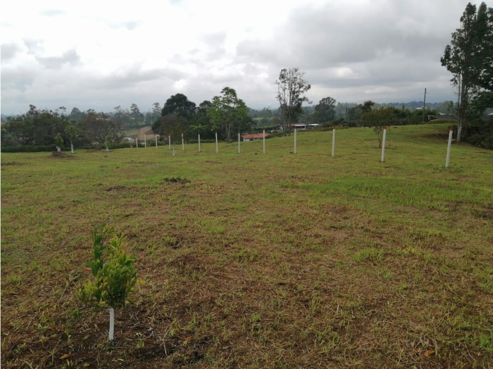 ENCANTADOR LOTE EN VENTA SAN VICENTE — foto 5