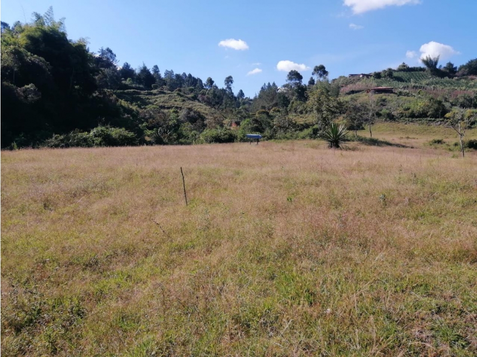 ENCANTADOR LOTE EN VENTA PARA PROYECTO SAN VICENTE — foto 5