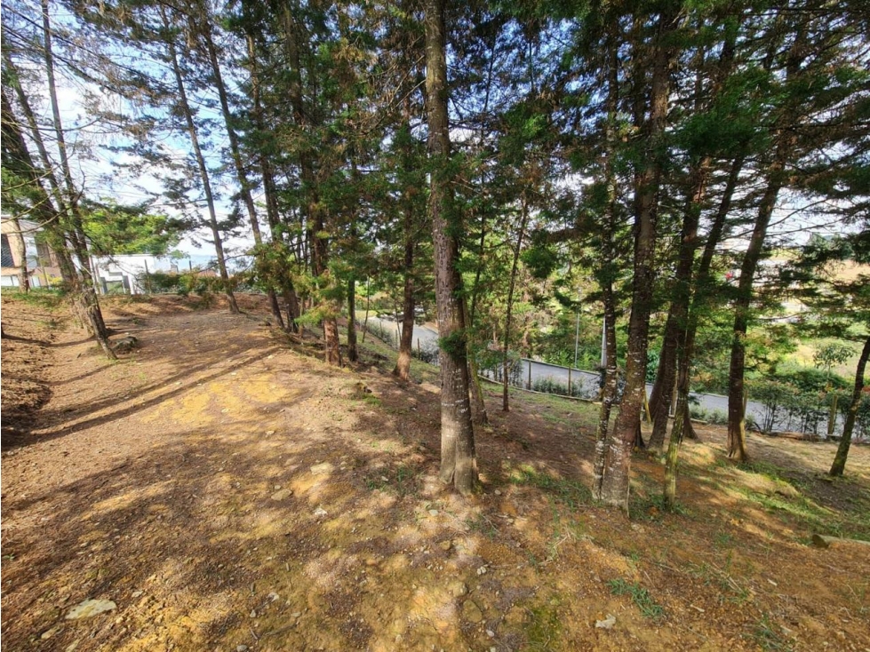 ESPECTACULAR FINCA EN VENTA CERCA AL AEROPUERTO — foto 5