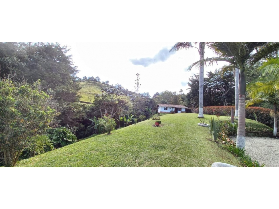 HERMOSA FINCA EN VENTA EN CABECERAS DE LLANOGRANDE RIONEGRO — foto 5