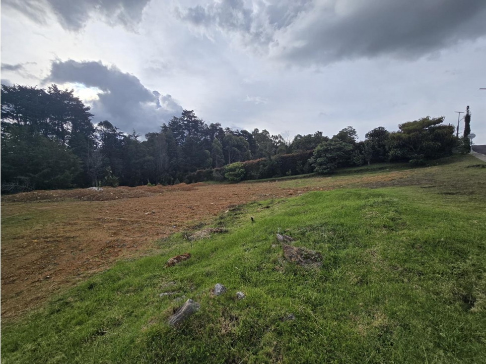 ENCANTADOR LOTE ALTO DE PALMAS EN VENTA — foto 5