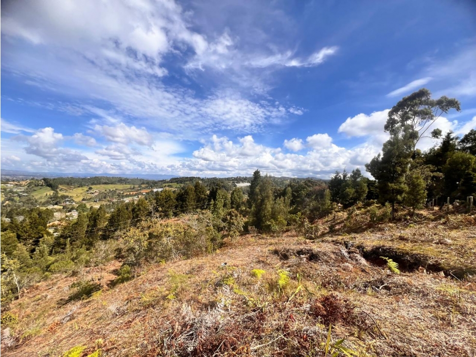 LINDOS LOTES EN VENTA EN LA VEREDA SAN ISIDRO DE GUARNE — foto 4