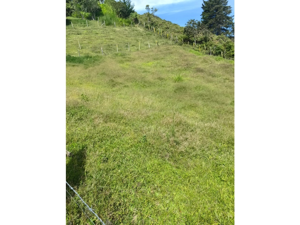 LINDA CASA FINCA EN VENTA MARINILLA ANTIOQUIA — foto 5