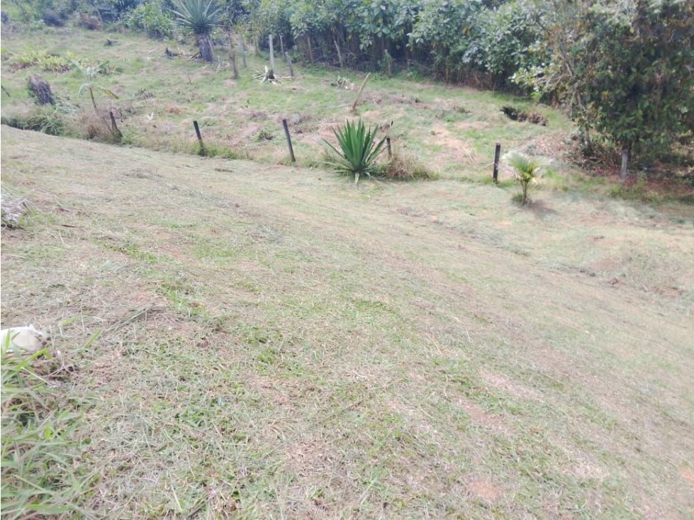 HERMOSO LOTE EN VENTA SAN VICENTE CERCA A LA AUTOPISTA — foto 5
