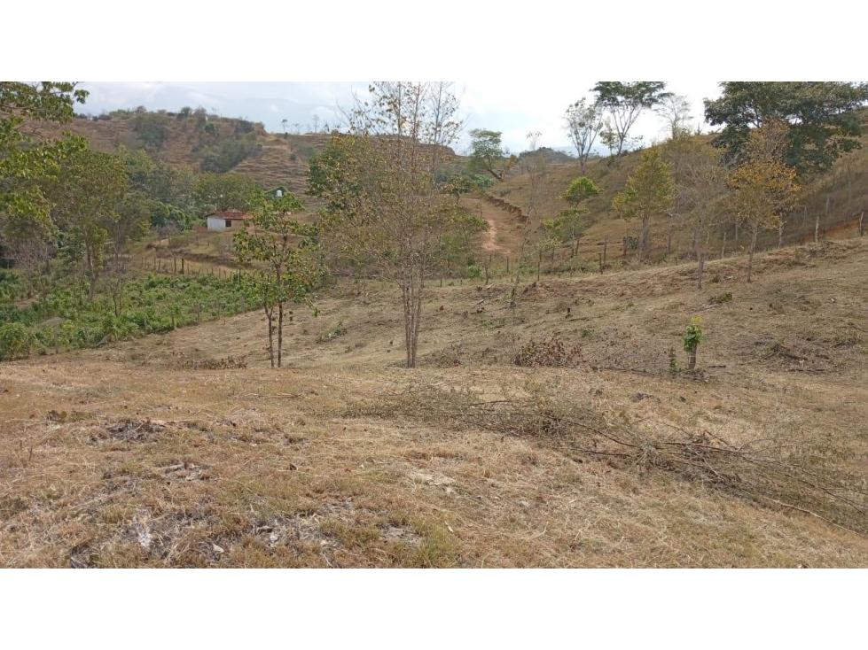 HERMOSO LOTE EN VENTA SOPETRAN — foto 3