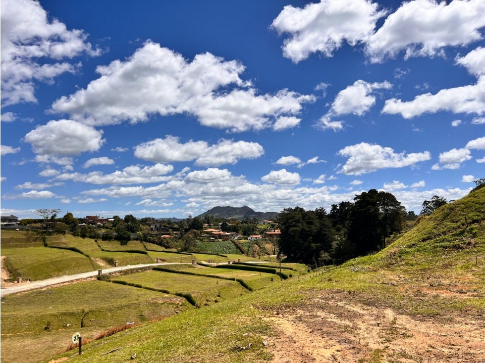 HERMOSO LOTE EN VENTA EL CARMEN DE VIBORAL — foto 5