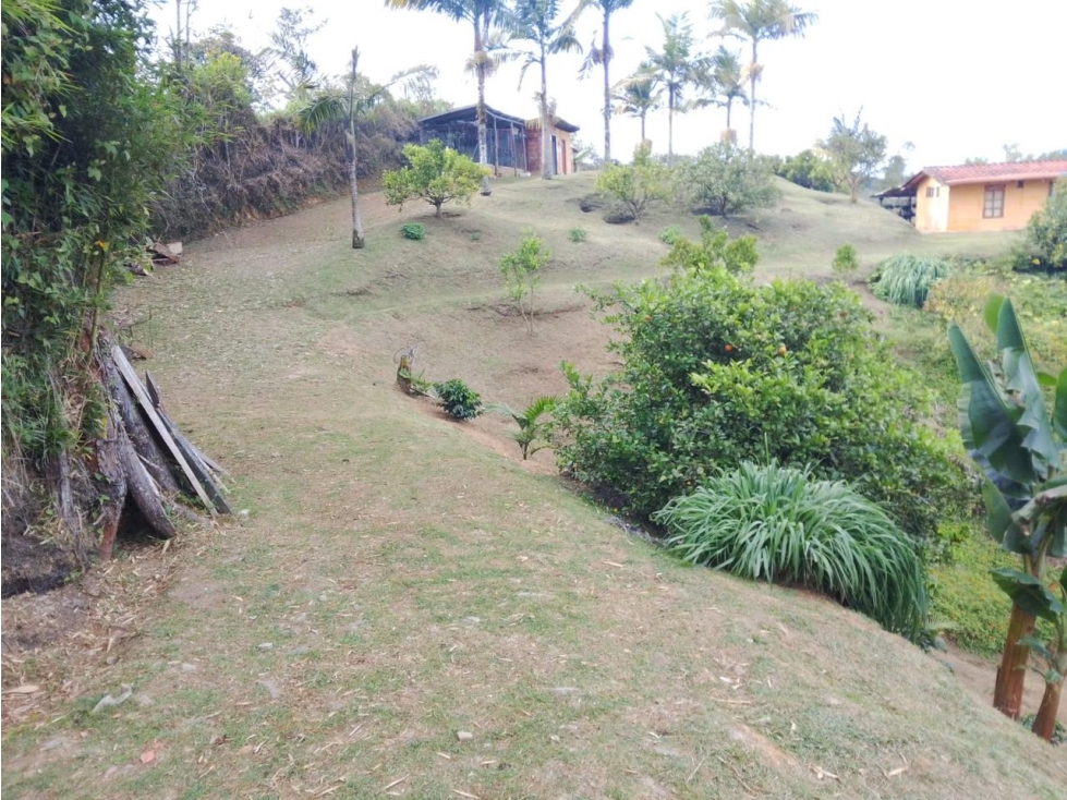 ESPECTACULAR FINCA EN VENTA PARA PROYECTO DE PARCELACIÓN SAN VICENTE — foto 6