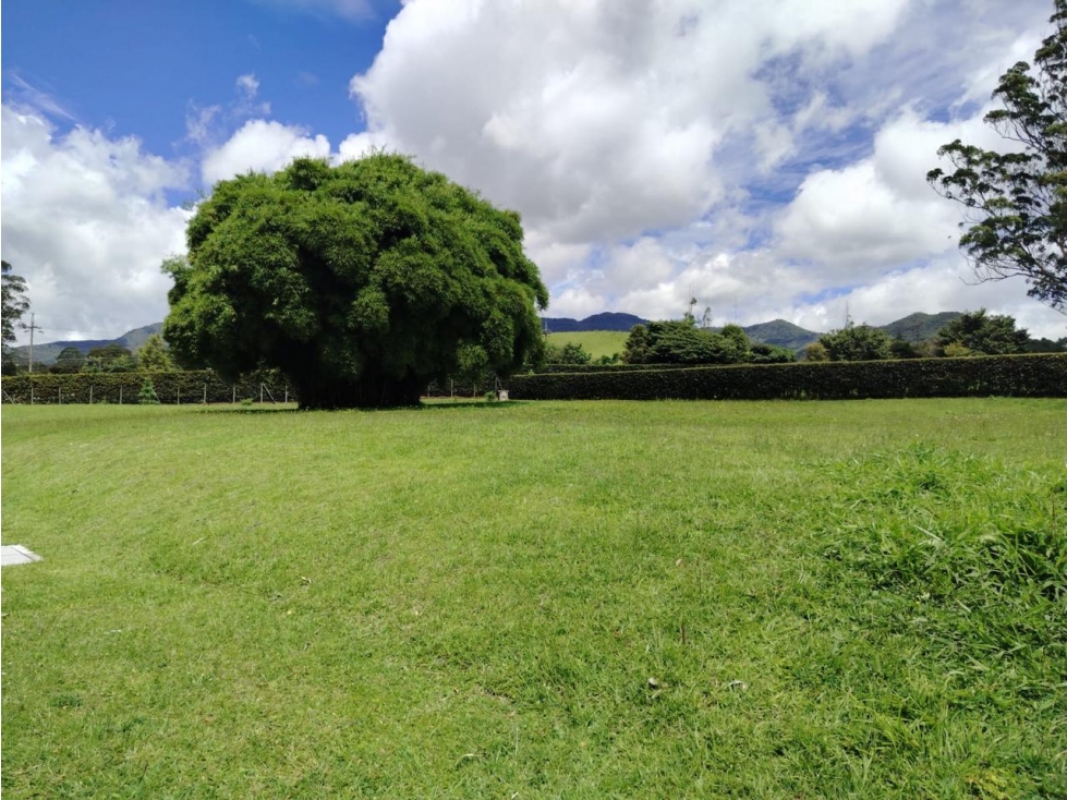 ESPECTACULAR LOTE EN VENTA PARCELACION LA CEJA