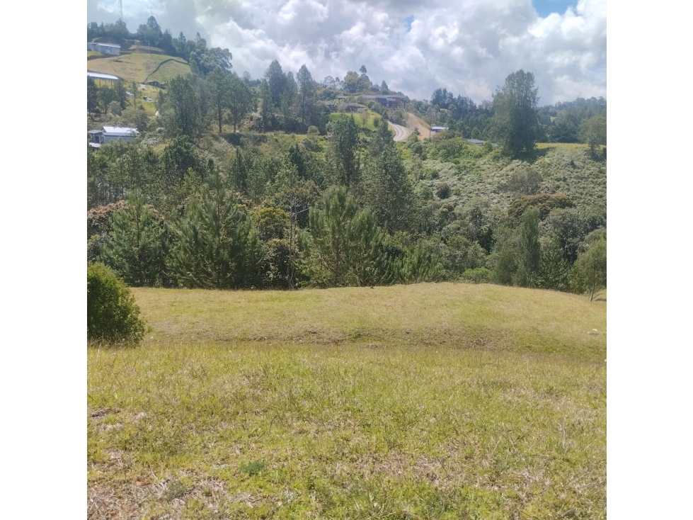 HERMOSO LOTE EN VENTA ALTO DE PALMAS