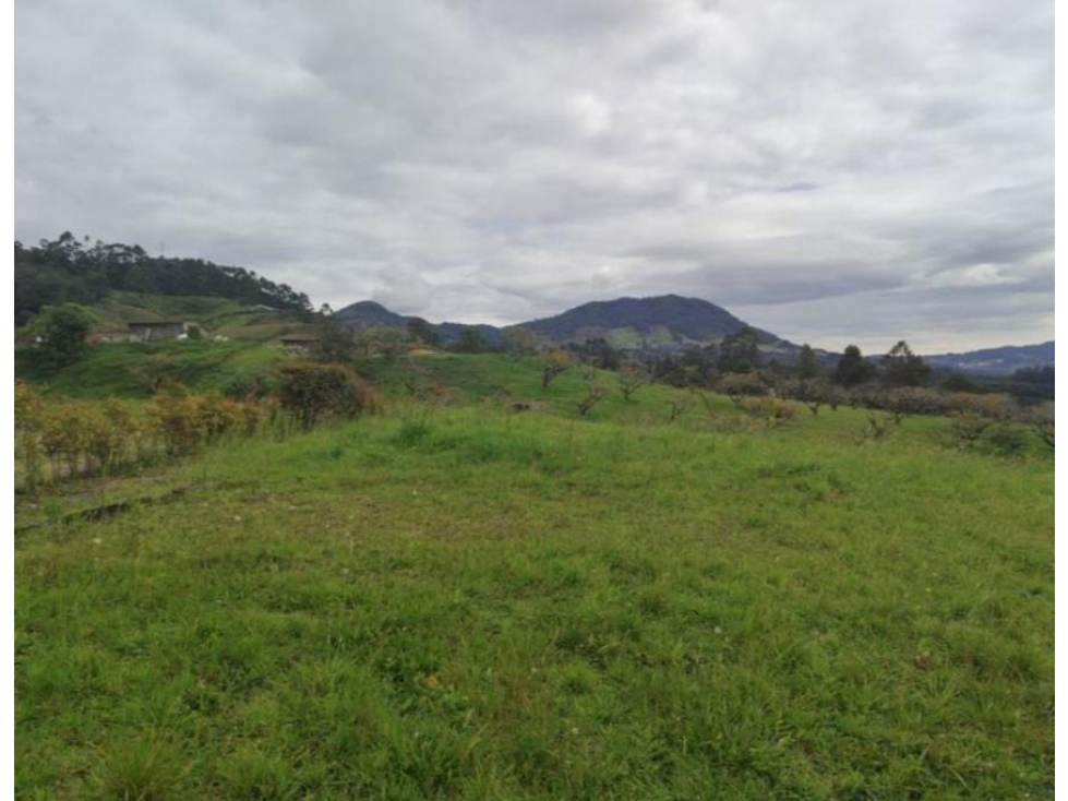HERMOSO LOTE EN VENTA CON VISTA VIA LA CEJA EL RETIRO — foto 5