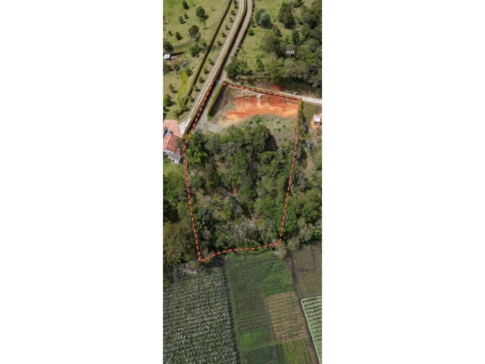 ENCANTADOR LOTE EN VENTA EL CARMEN DE VIBORAL SECTOR CANADA — foto 5