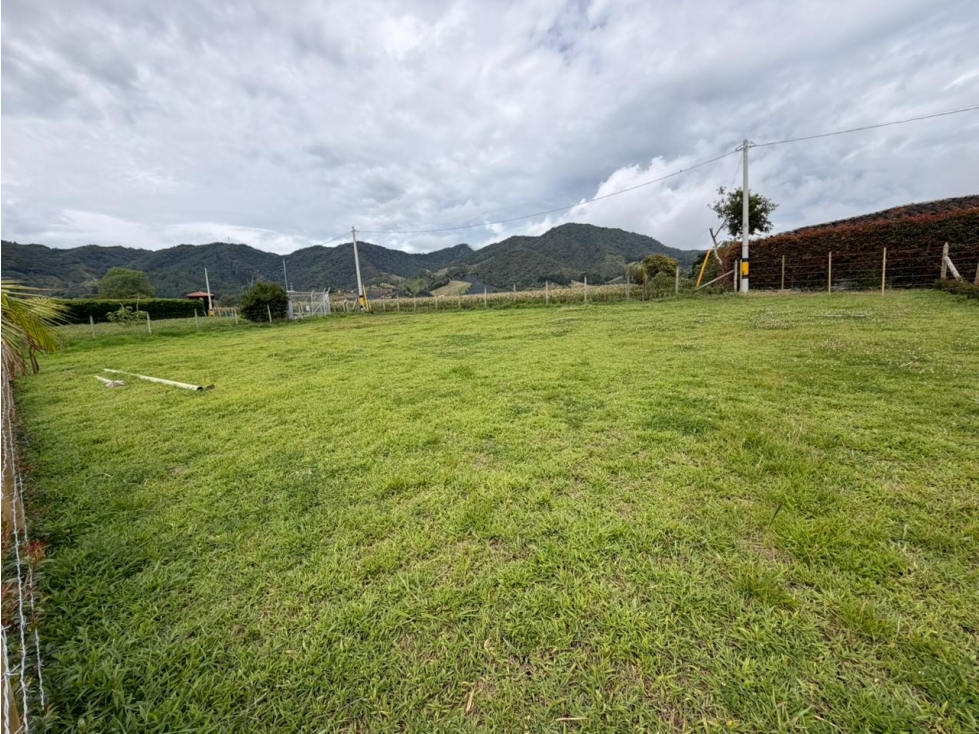 LOTE CAMPESTRE EN VENTA EL CARMEN DE VIBORAL — foto 5