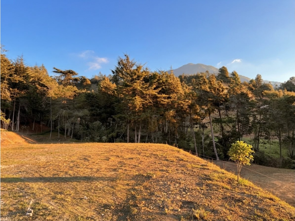 HERMOSO LOTE EN VENTA EN PARCELACIÓN EL RETIRO — foto 5