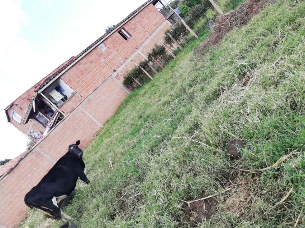 UNICO LOTE URBANO EN VENTA CERCA A LA ZONA URBANA EN EL CARMEN DE VIB. — foto 3
