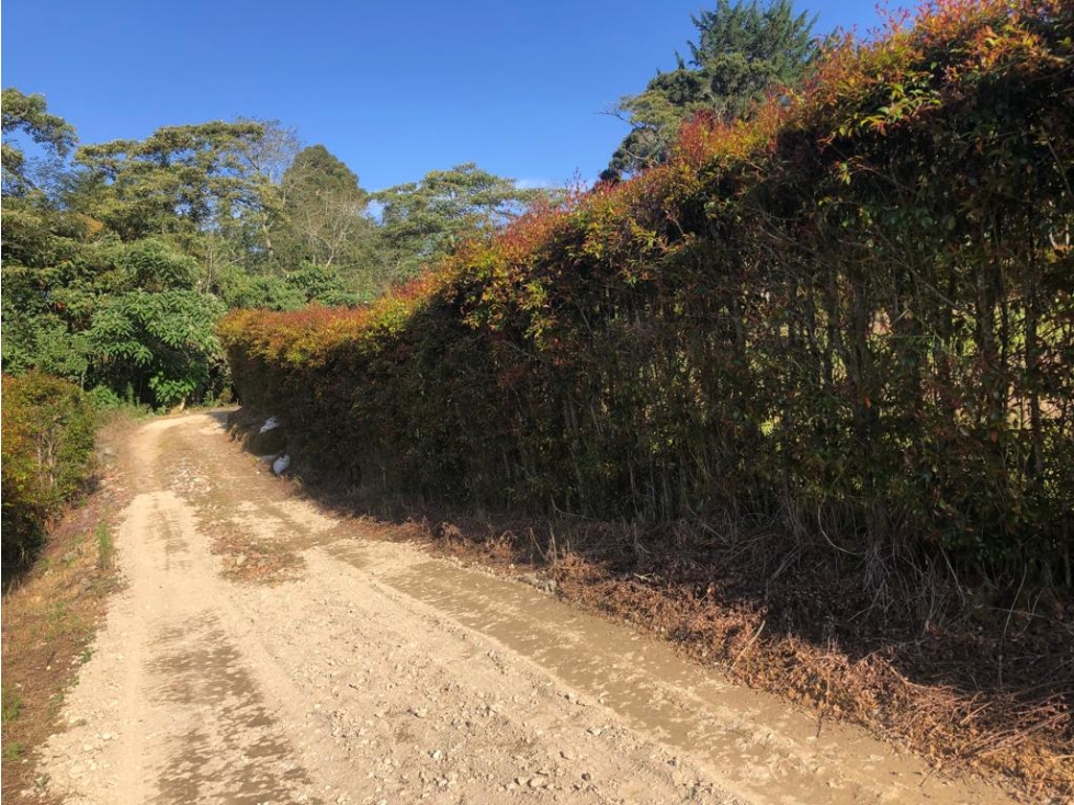 HERMOSO LOTE EN VENTA SECTOR CANADA EL CARMEN DE VIBORAL. Oportunidad. — foto 6