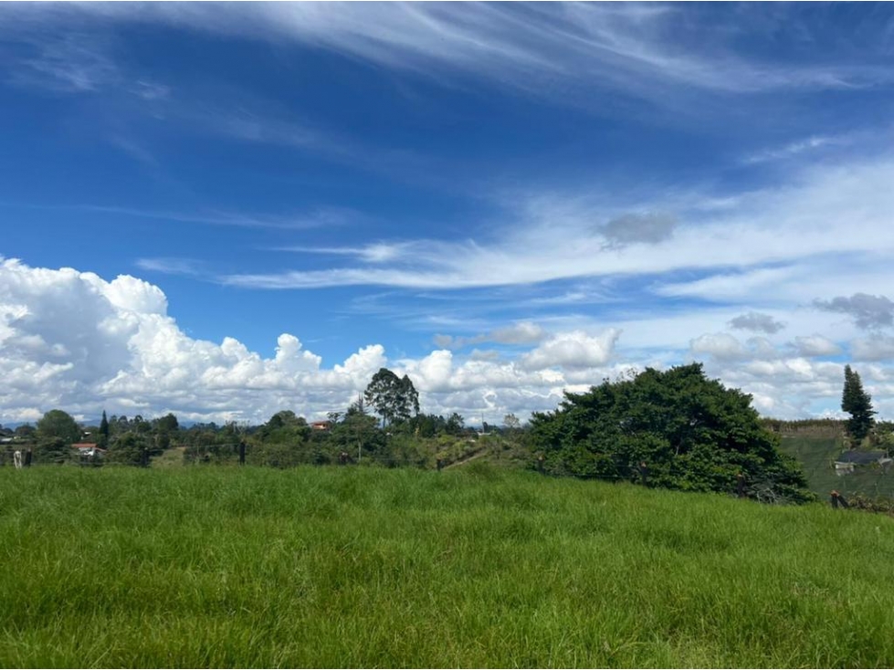 ENCANTADOR LOTE EN VENTA UBICADO EN PARCELACION EL CARMEN — foto 6